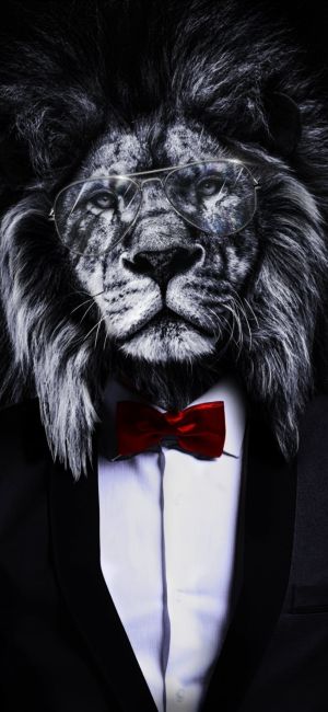 Wallpaper